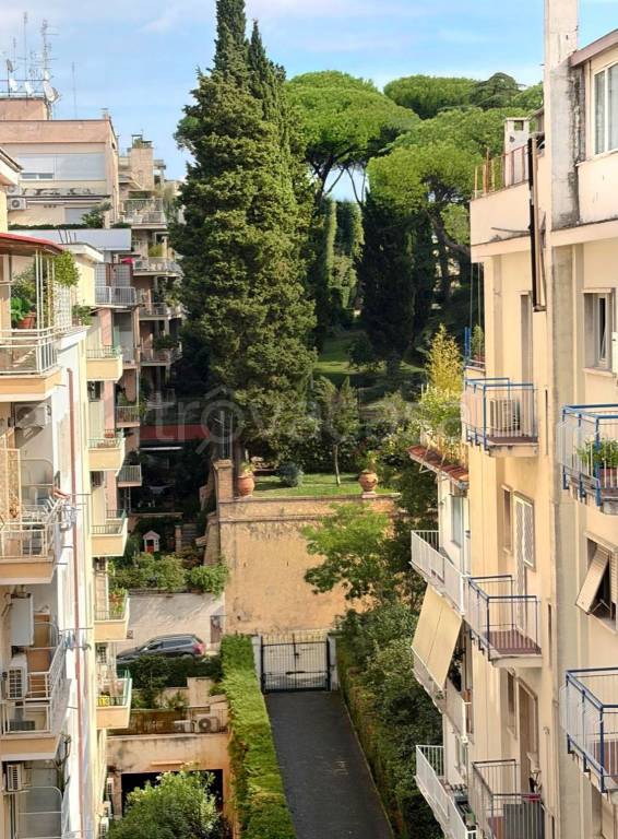 appartamento in affitto a Roma in zona Pinciano