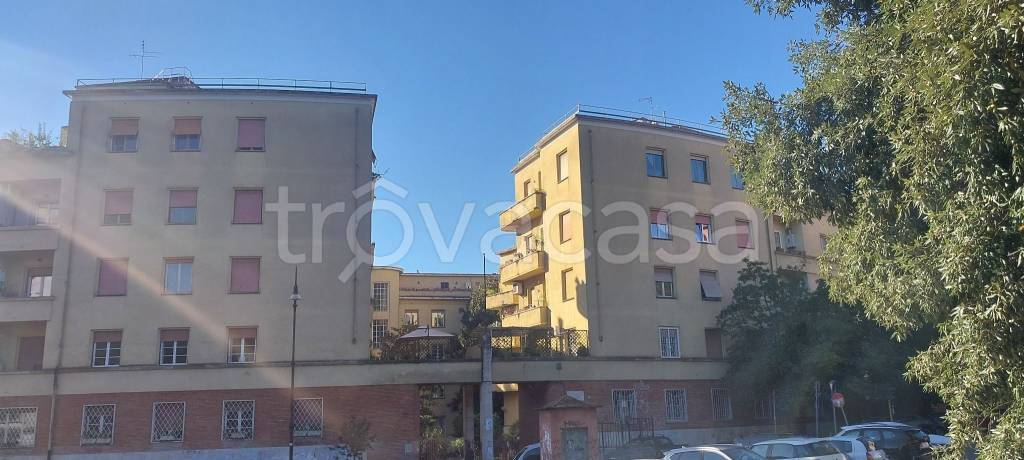 appartamento in affitto a Roma in zona Trieste
