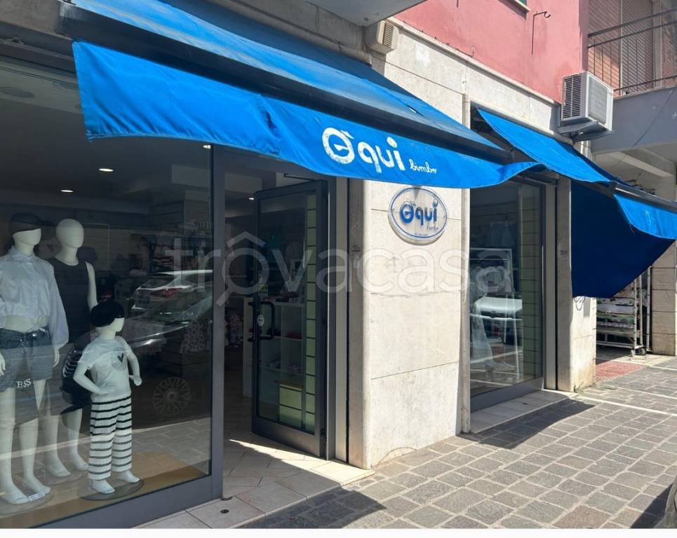 appartamento in affitto a Santa Marinella