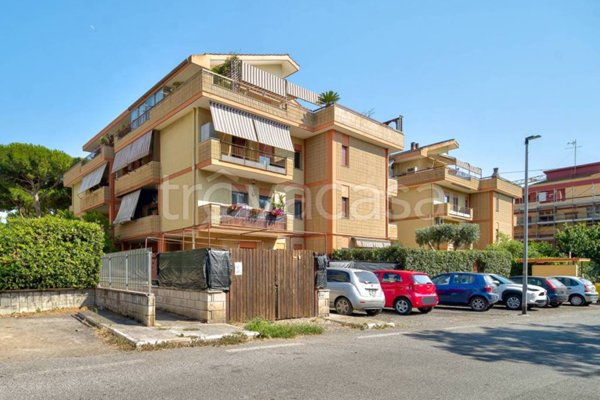 appartamento in affitto a Santa Marinella