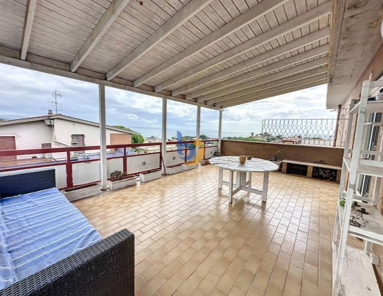 appartamento in affitto a Santa Marinella