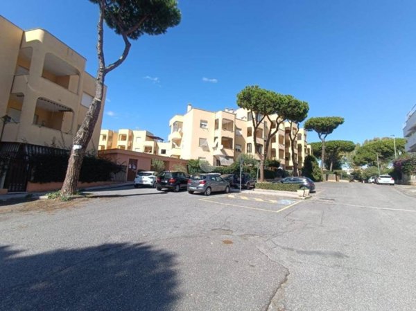 appartamento in affitto a Santa Marinella