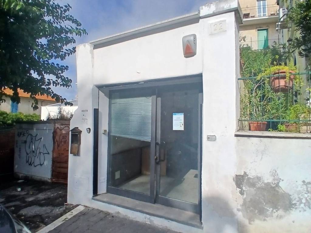 negozio in affitto a Santa Marinella