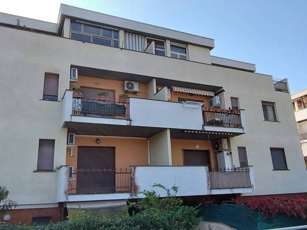 appartamento in affitto a Santa Marinella