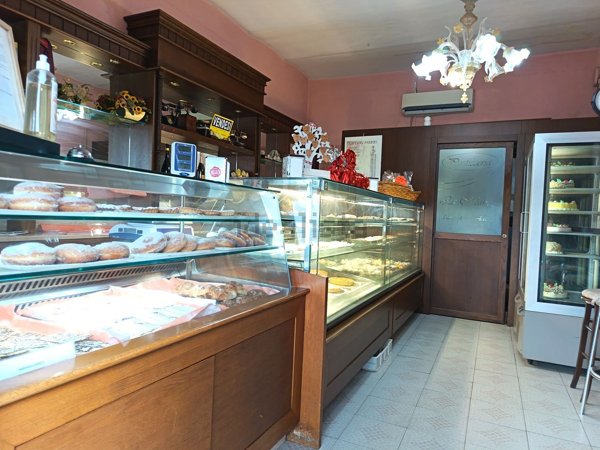 negozio in affitto a Santa Marinella