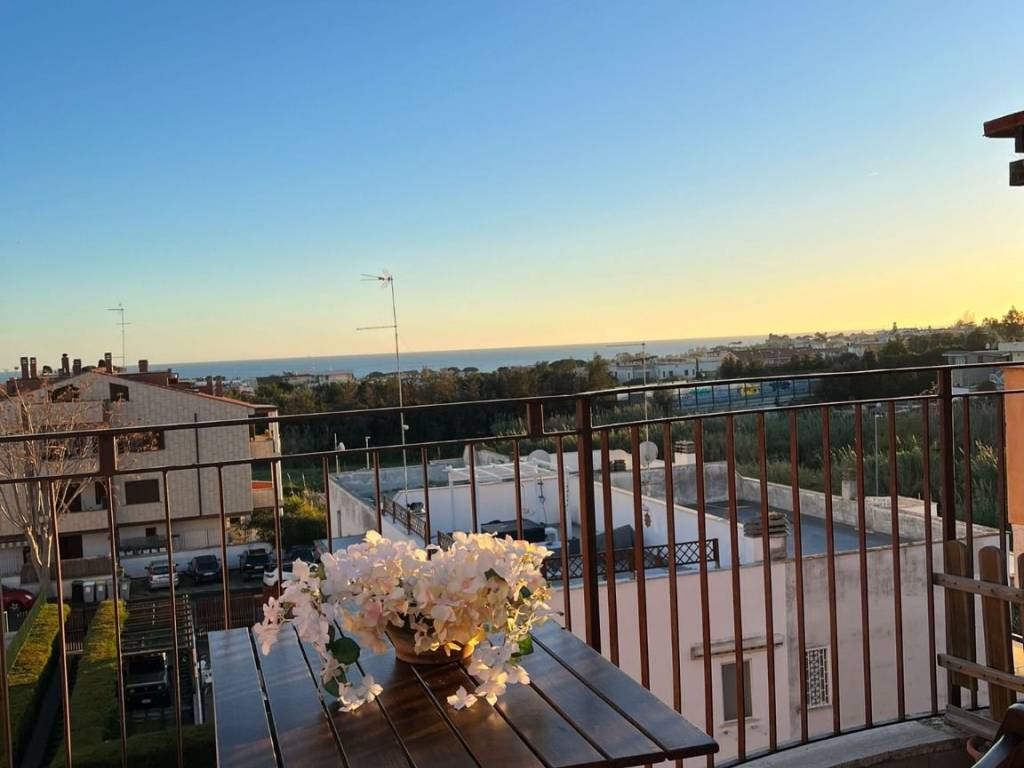 appartamento in affitto a Santa Marinella