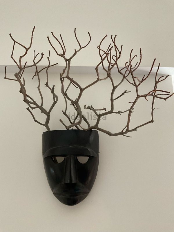 appartamento in affitto a Santa Marinella