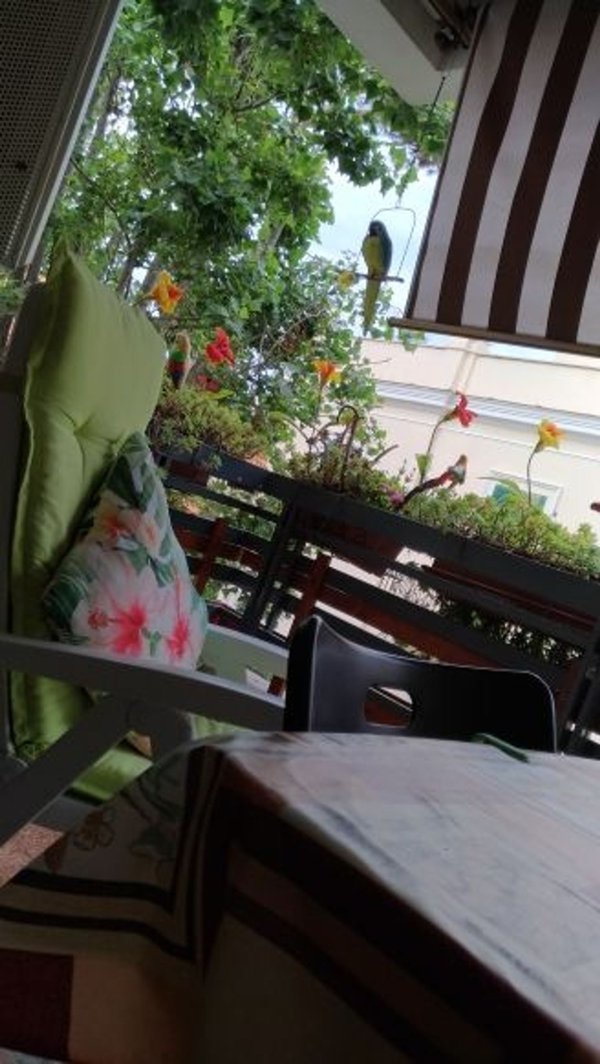 appartamento in affitto a Santa Marinella