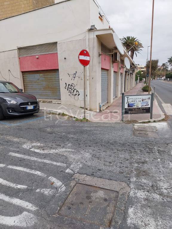 negozio in affitto a Santa Marinella