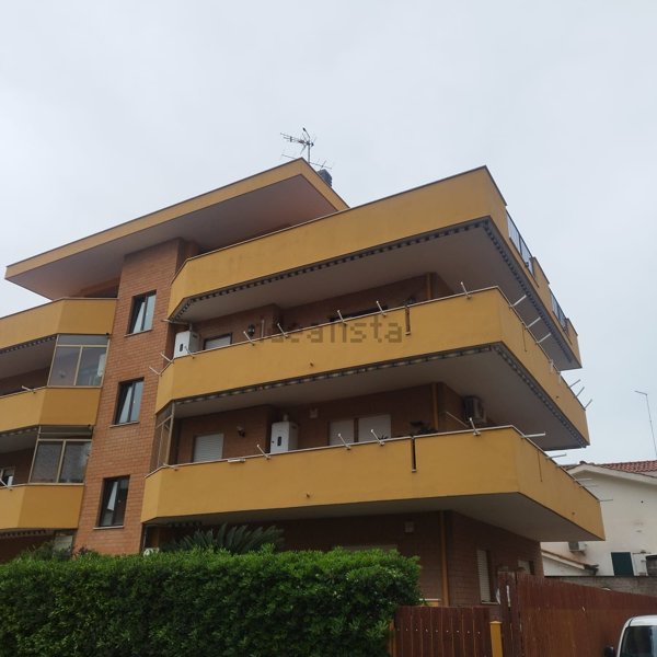 appartamento in affitto a Santa Marinella