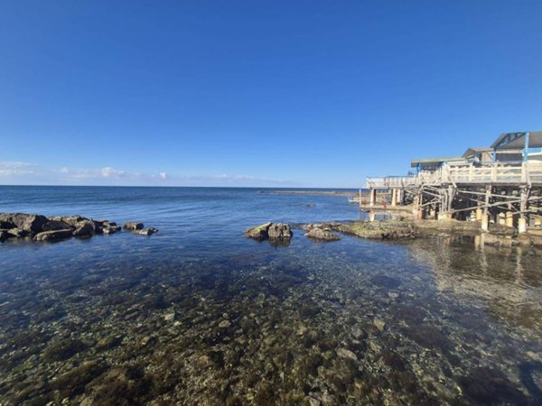 appartamento in affitto a Santa Marinella