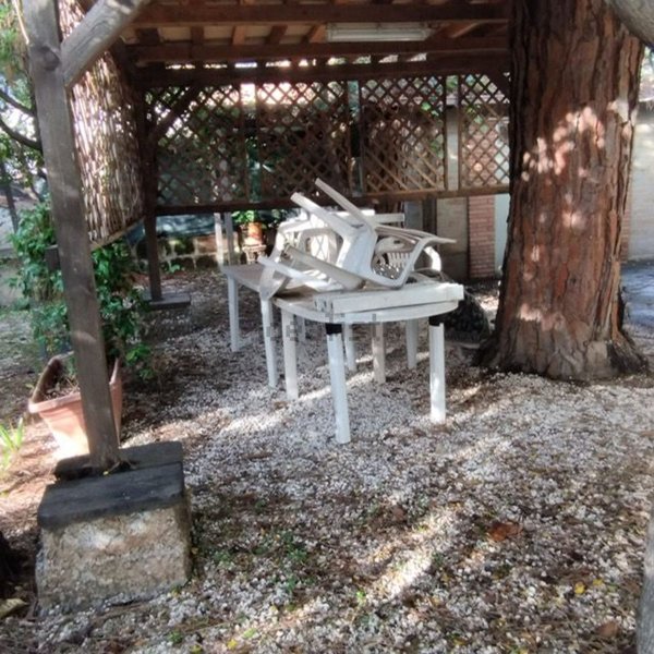 appartamento in affitto a Santa Marinella