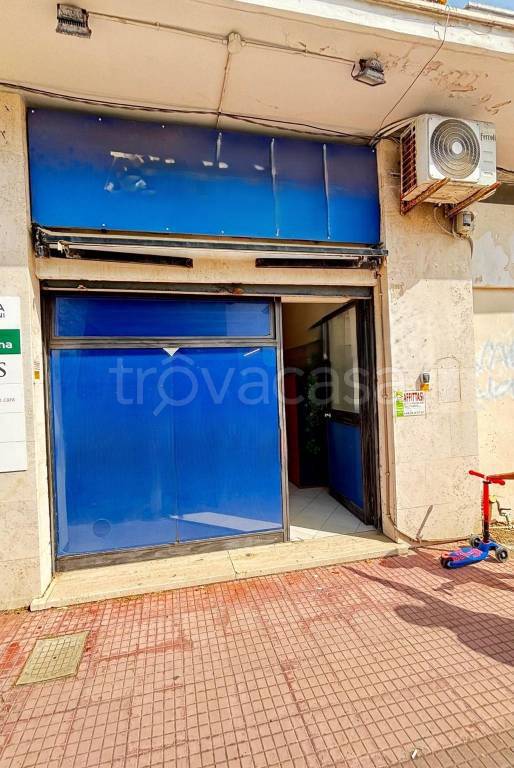 appartamento in affitto a Santa Marinella