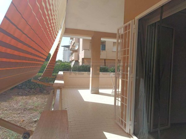 appartamento in affitto a Santa Marinella