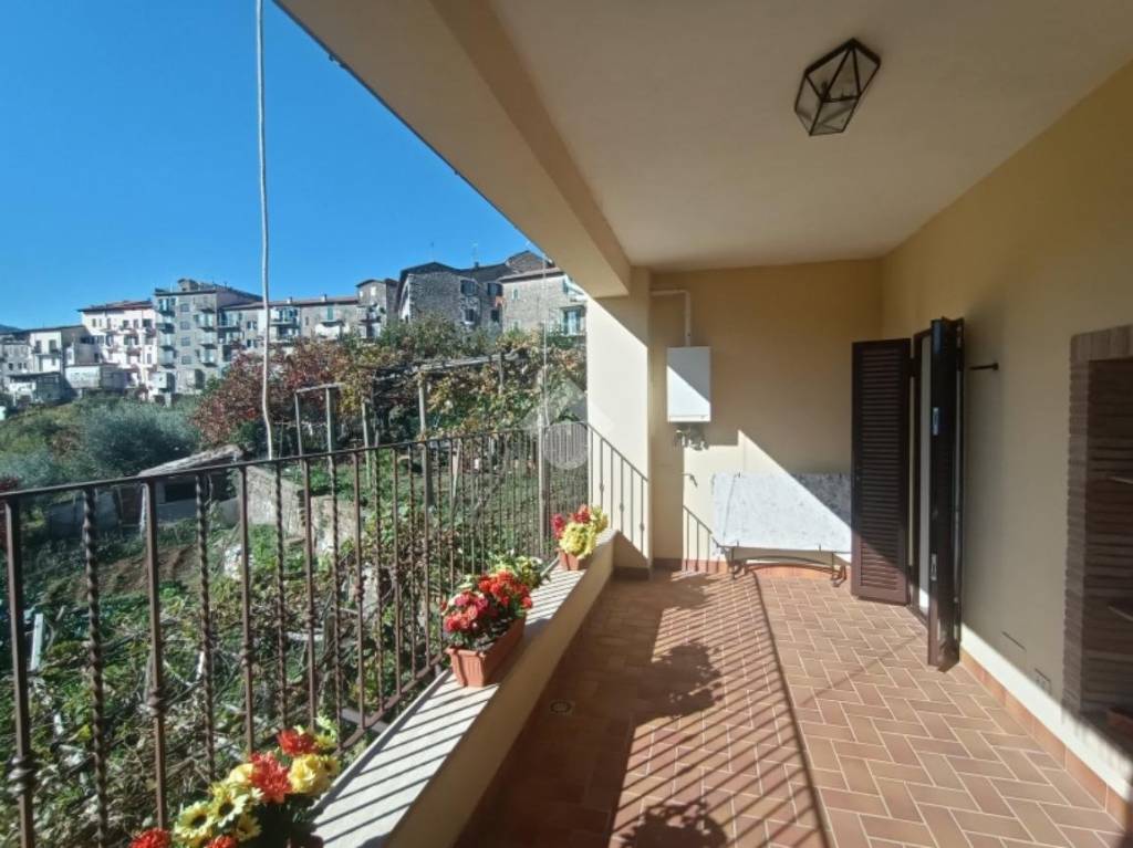 appartamento in affitto a Segni