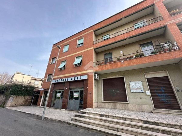 negozio in affitto a Tivoli