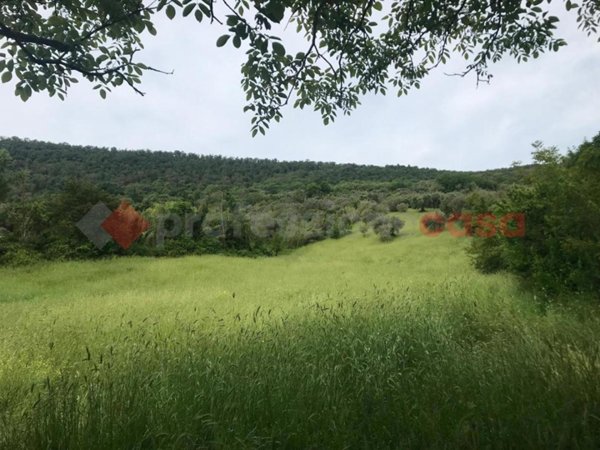 terreno agricolo in affitto a Tivoli