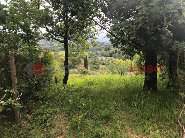 terreno agricolo in affitto a Tivoli