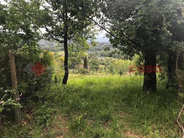 terreno agricolo in affitto a Tivoli