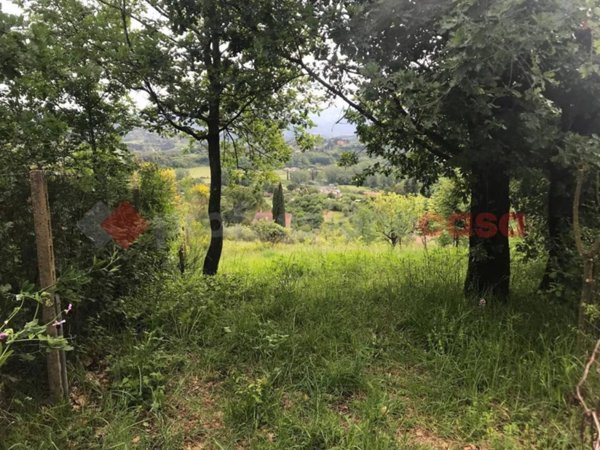 terreno agricolo in affitto a Tivoli
