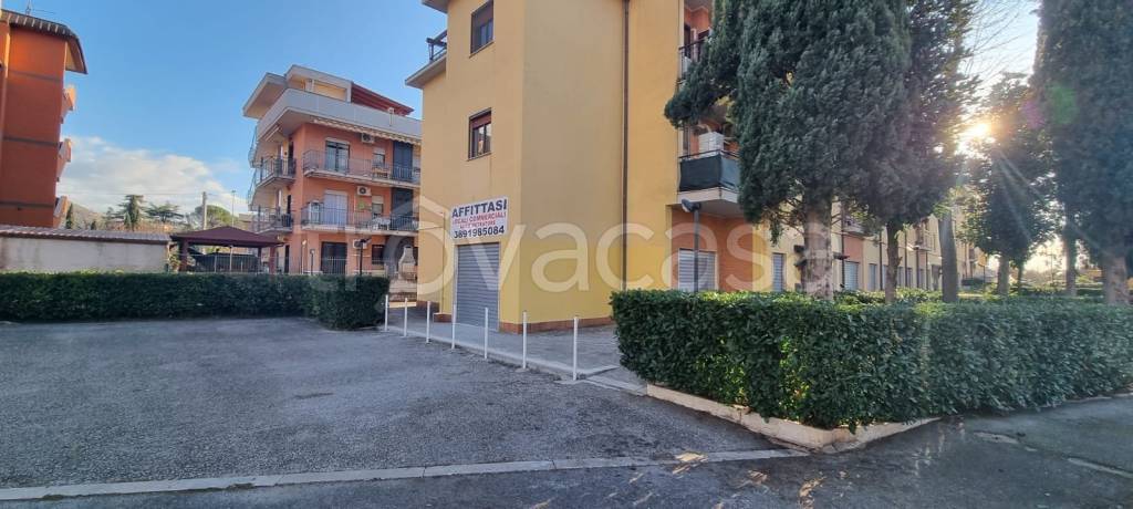 monolocale in affitto a Tivoli