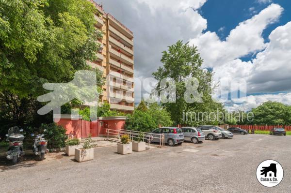 appartamento in affitto a Tivoli in zona Terme