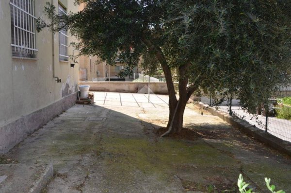 negozio in affitto a Tivoli