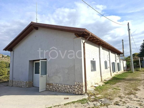 negozio in affitto a Tivoli