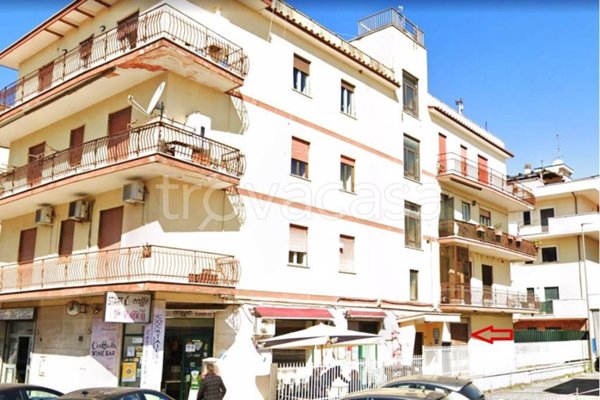 negozio in affitto a Tivoli