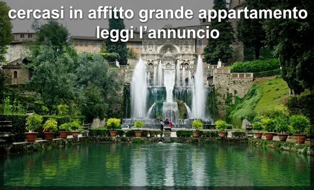 negozio in affitto a Tivoli
