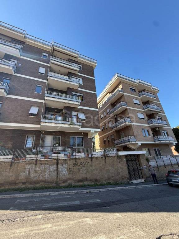 appartamento in affitto a Tivoli