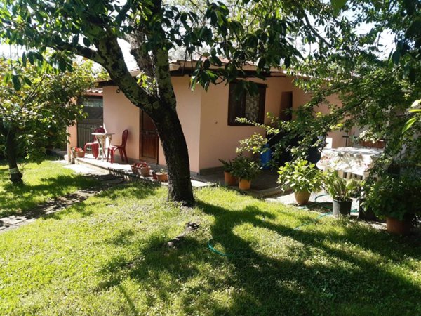 casa indipendente in affitto a Trevignano Romano
