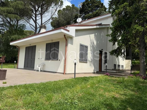 casa indipendente in affitto a Trevignano Romano