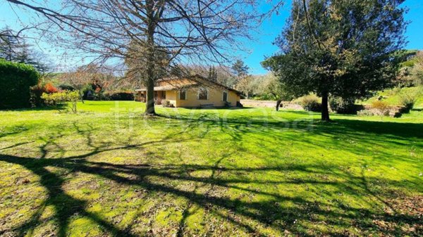 casa indipendente in affitto a Trevignano Romano