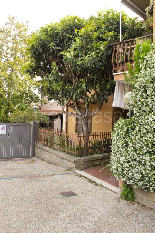 appartamento in affitto a Trevignano Romano