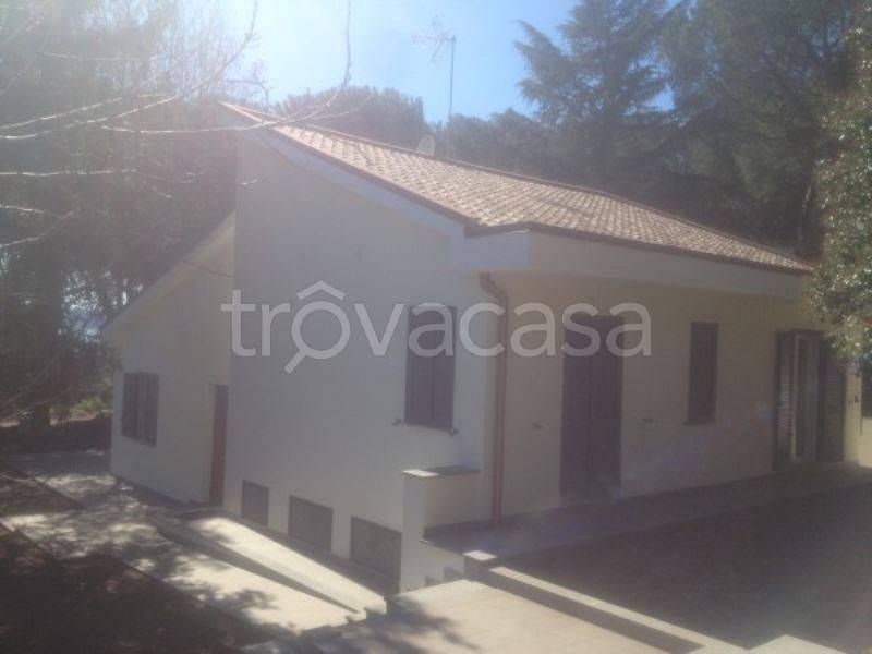 casa indipendente in affitto a Trevignano Romano
