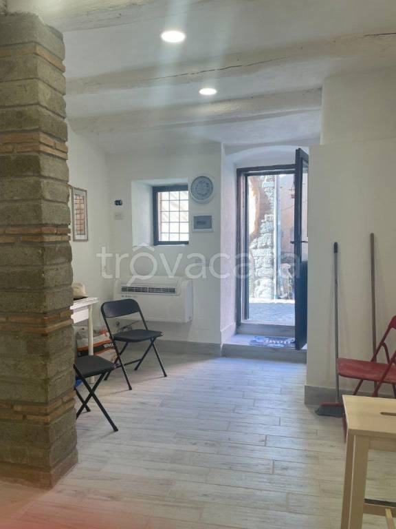 appartamento in affitto a Trevignano Romano