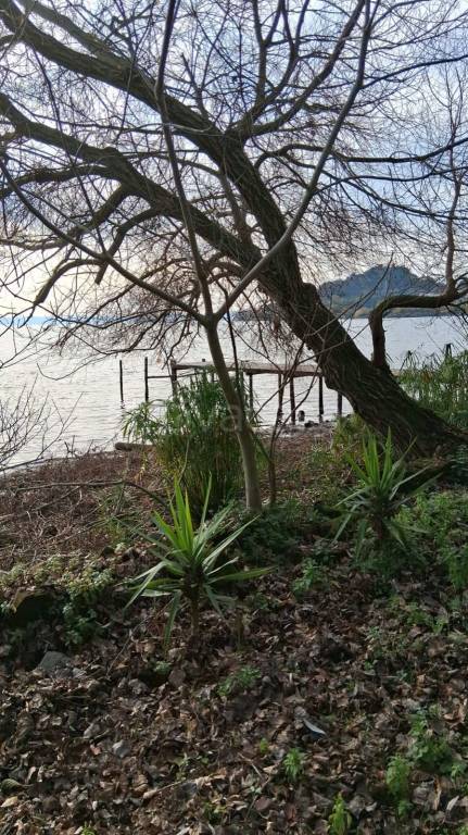 casa indipendente in affitto a Trevignano Romano