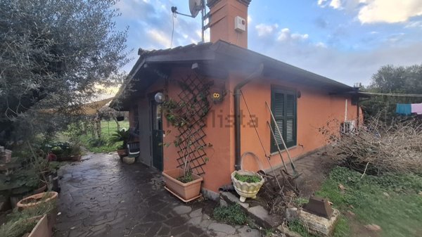 appartamento in affitto a Trevignano Romano