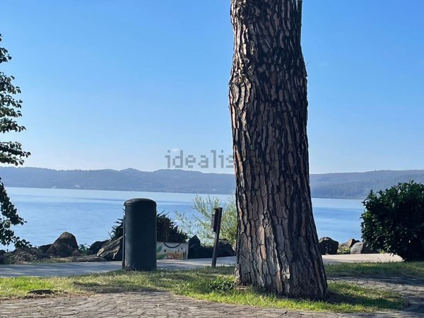 appartamento in affitto a Trevignano Romano