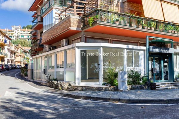 negozio in affitto a Trevignano Romano