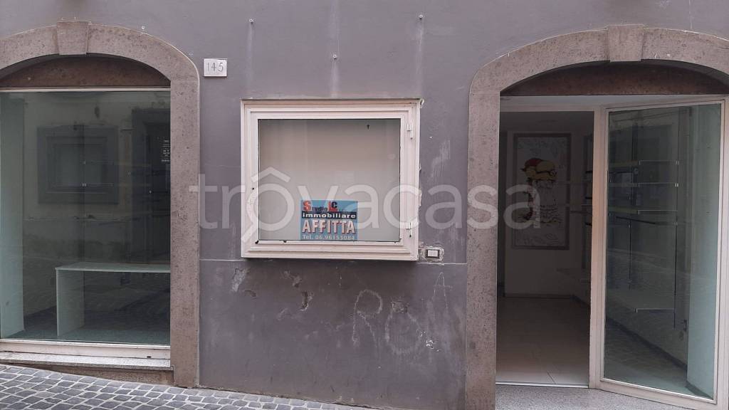 appartamento in affitto a Velletri