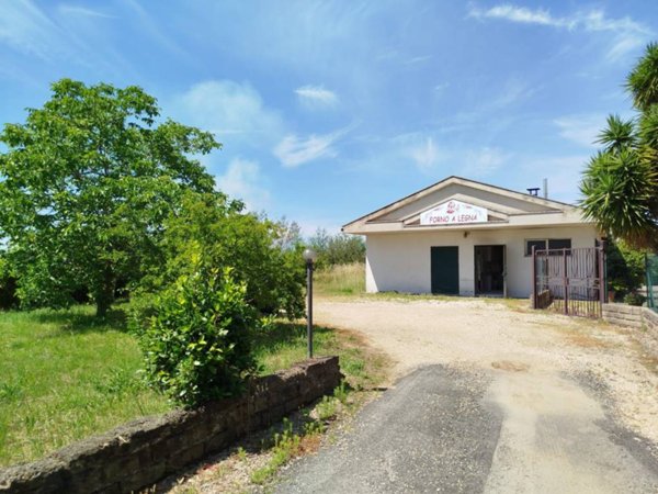 negozio in affitto a Velletri