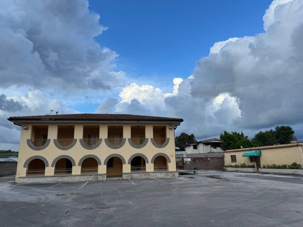 locale commerciale in affitto a Velletri