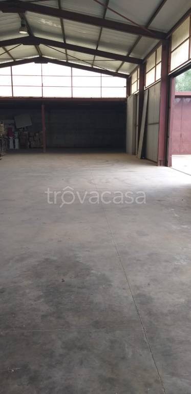 locale commerciale in affitto a Velletri