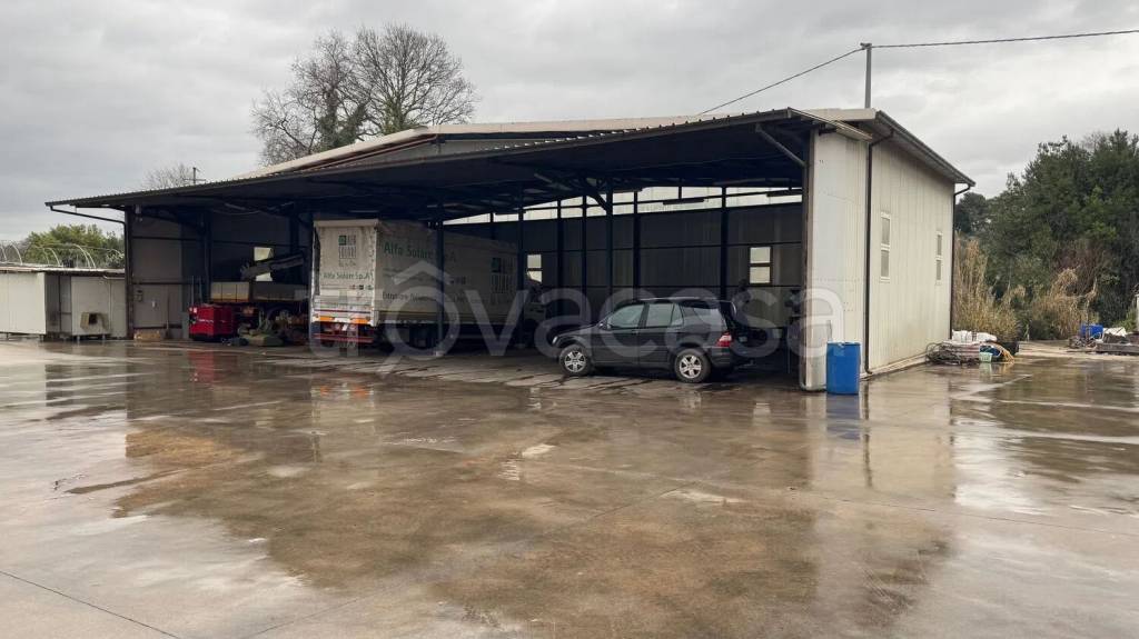 appartamento in affitto a Velletri