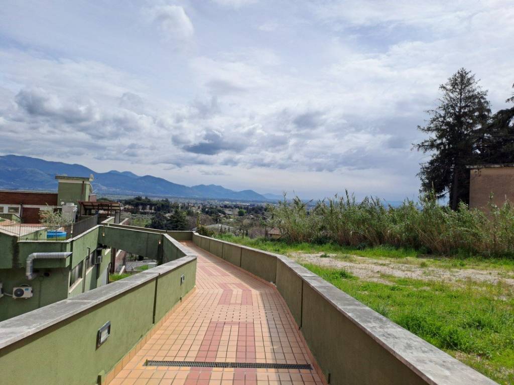negozio in affitto a Velletri