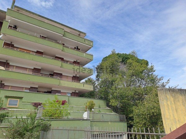 locale commerciale in affitto a Velletri