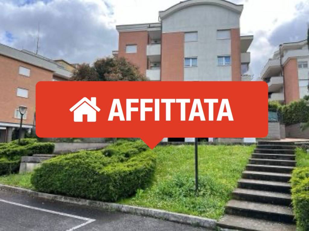 appartamento in affitto a Velletri