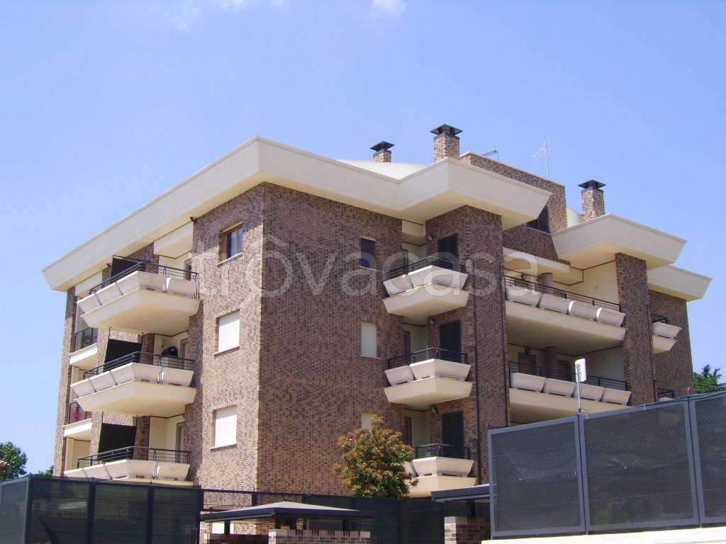 appartamento in affitto a Velletri